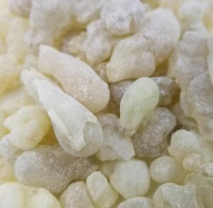 Boswellia sacra-résine récoltée