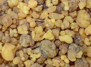 Boswellia sacra-résine