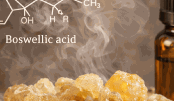 boswellia_web_350x600